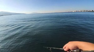 Как поймать на пилькер Новичку! Ставрида на каждом забросе, Сарган атакует!