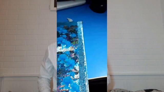 ЧТО МНЕ ПОДАРИЛИ НА СОВЕРШЕННОЛЕТИЕ?ЧТО МНЕ ПОДАРИЛИ НА 18 ЛЕТ?WHAT PRESENTED ME ON MY 18th BIRTHDA смотреть онлайн