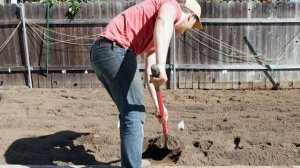 How To Turn Your Lawn Into A Vegetable Garden