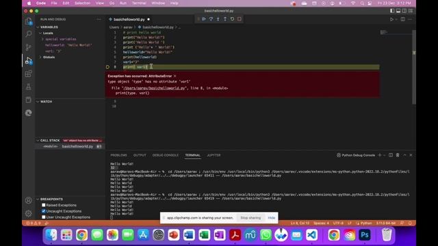 Python Basics: Lesson 1: Installing, Printing, Basic Data Types, Inputing, Adding смотреть онлайн
