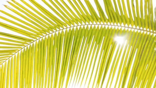 САМЫЕ КРАСИВЫЕ ПЛЯЖИ МИРА - ТОП-5 ЛУЧШИХ КУРОРТОВ МИРА смотреть онлайн