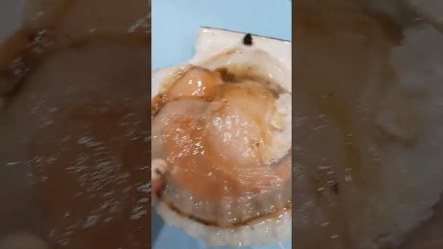 Как подготовить гребешок в ракушке к употреблению! смотреть онлайн