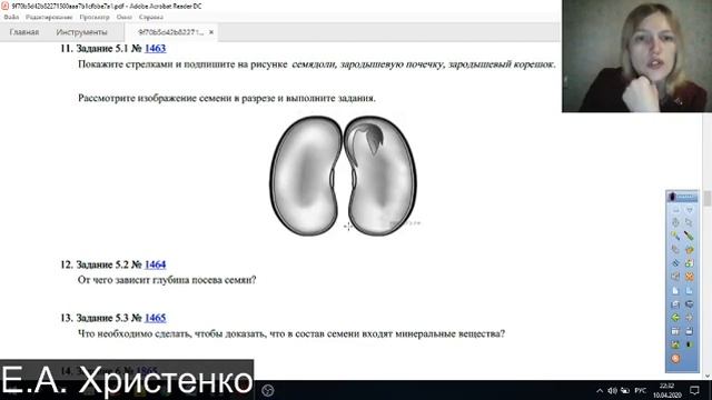 6 класс, впр, занятие 11 04 2020 смотреть онлайн