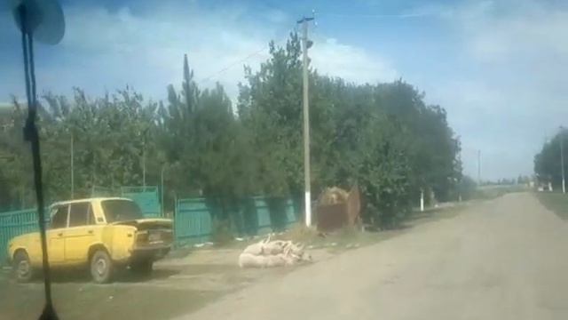 Чума.Запорожская обл.Приморский район с.Камышеватка смотреть онлайн