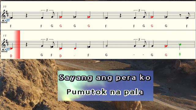 AKO AY MAY LOBO saxophone soprano flute instrumental letter notes + backing track смотреть онлайн