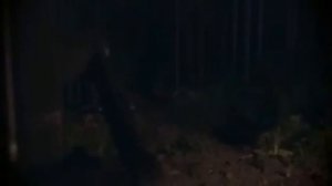 Долина Сасквоча   Ужасы, Триллер, смотреть фильмы