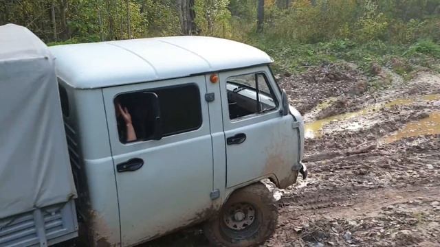 Дорога на деревню Белушка, Окуловский район. (все едем и едем) смотреть онлайн