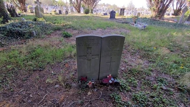 Exploring Deansgrange cemetery смотреть онлайн