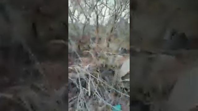 Экологическая катастрофа в г.Саратове Заводской район. Комсомольский поселок. смотреть онлайн