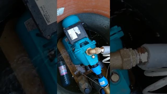 hidrofor cu pompa si butelie de 19 l Tehnik tip TK8-44/19H смотреть онлайн