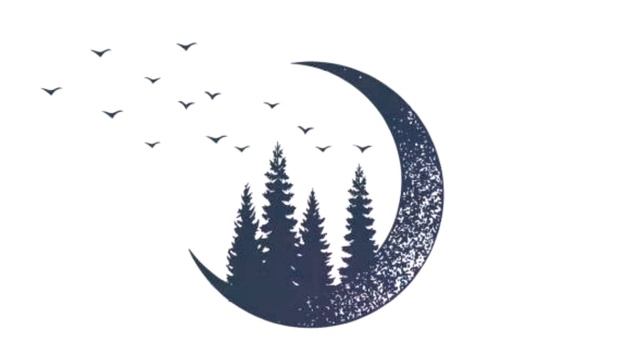 "Танец светлячков". Современные стихи. Поэзия 2020. смотреть онлайн