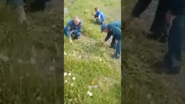 25 мая 2020 г. смотреть онлайн