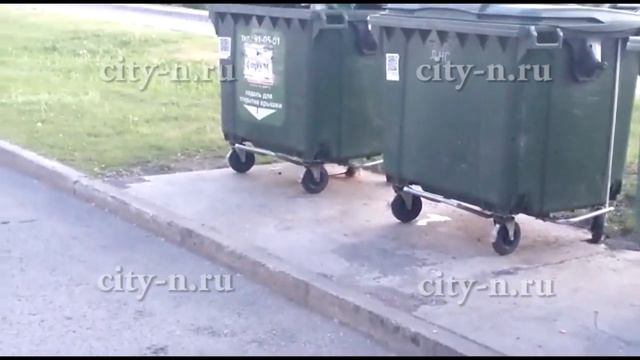 В центре Новокузнецка зафиксировали нашествие крыс у торгового центра смотреть онлайн