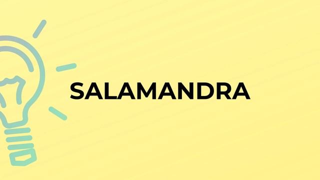 What is the meaning of the word SALAMANDRA? смотреть онлайн