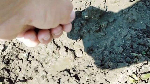 #57переезднаюг#купилидом ГОТОВИМ ЗЕМЛЮ ПОД АРБУЗЫ/ПОСАДИЛА ГОРОХ/РЕДИСКУ/ПОДКОРМИЛА КЛУБНИКУ смотреть онлайн