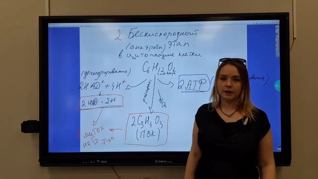 Энергетический обмен. (2-ой этап) смотреть онлайн