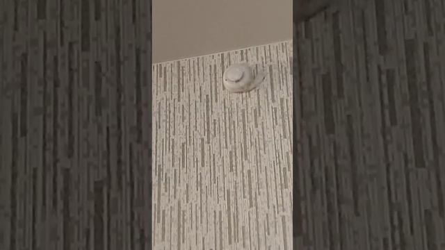 Долгий VLOG смотреть онлайн