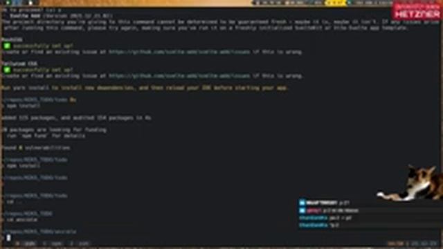 Svelte + SvelteKit App bauen und deployen auf !Hetzner Cloud | Javascript Framework ?✨ (23.12.2021) смотреть онлайн