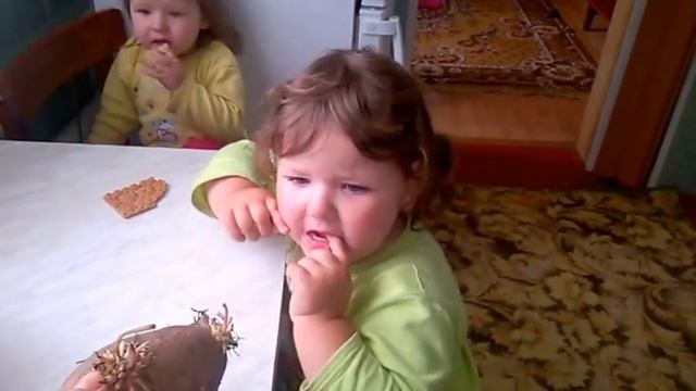 Злая страшная картошка!!! до слез!!! смотреть онлайн