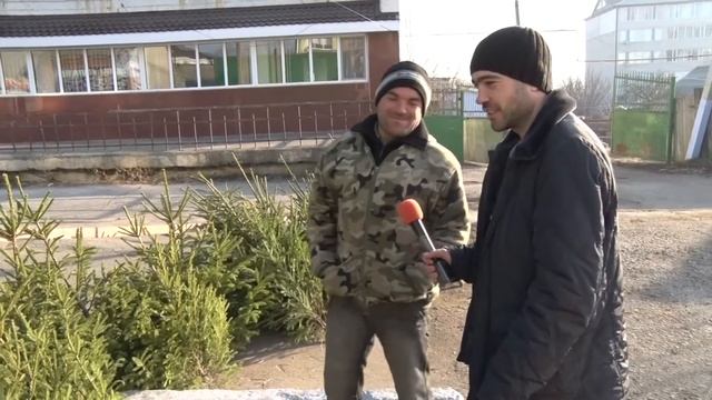Во сколько обойдется покупка ели в Комрате смотреть онлайн