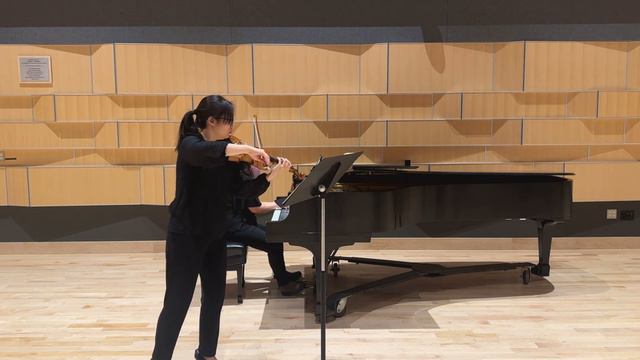 Grieg Violin Sonata No 3 in C minor, Op 45, mov I смотреть онлайн