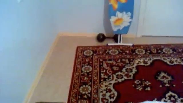 Котэ паркурщица смотреть онлайн