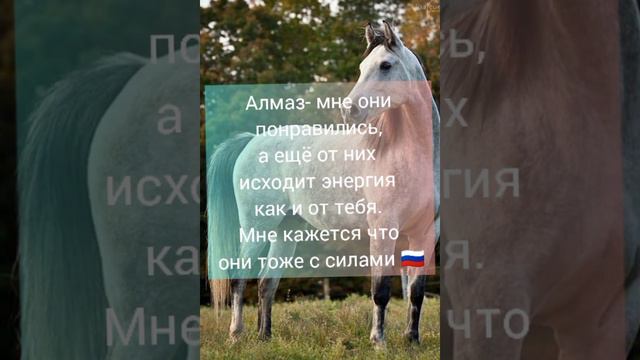 /конь/2 часть фф про Пятого смотреть онлайн