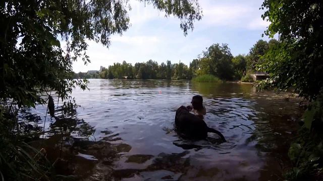 Teaching Jade to swim смотреть онлайн