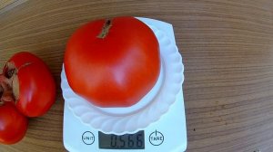 Carol Chykо'S Big Paste. Томат - Большая паста Кэрол Чико