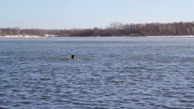 зимняя тренировка по плаванию на Оби 13.02.15г.Суворовцы,подготовка к чемпионату. смотреть онлайн