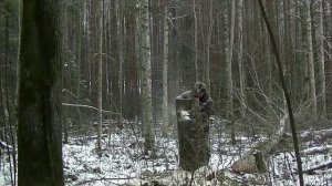 01.12.2022. Биотехния и лисовин.