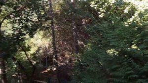 КОМПЛЕКС «ДИВНЫЙ» СОЧИ ЛОО. ОЧЕНЬ ВЫГОДНЫЙ ОТДЫХ! СУПЕР ОБЗОР.