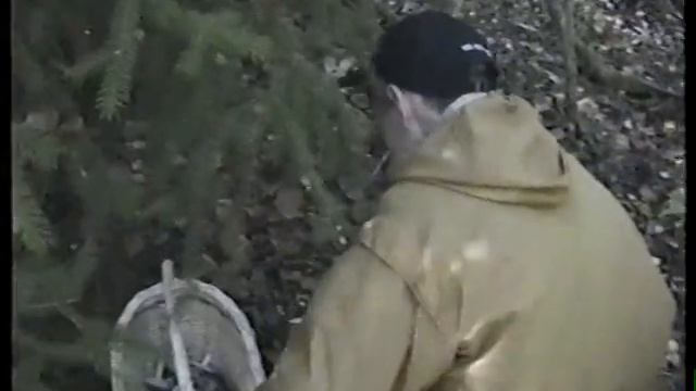 Грузди собираем в старом лесу.* смотреть онлайн