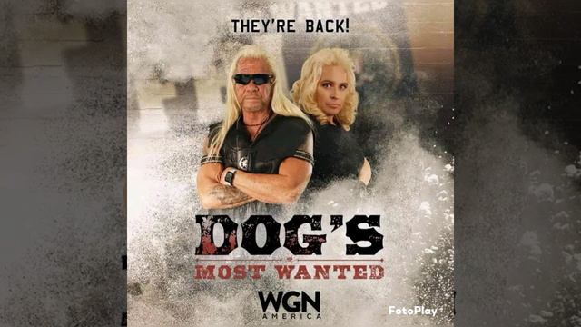 Dog's Most Wanted смотреть онлайн