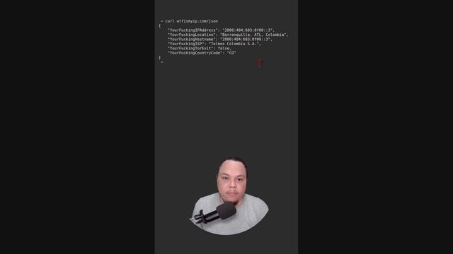 Consulta Tu IP Pública Desde La Terminal Con CURL