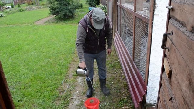 САЛЬМОНЕЛЛЁЗ  ГОЛУБЕЙ,БОЛЕЕМ 10 ДНЕЙ. Какие последствия, итоги лечения.