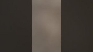 Ирмосы панихиды и отпевания. глас 6. Песнь 8, 9. Партия сопрано.