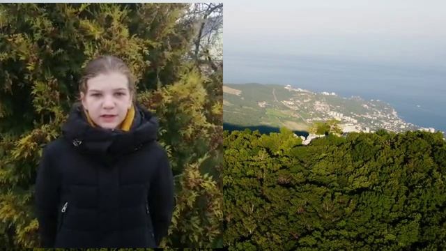 Жевнерова Мария смотреть онлайн