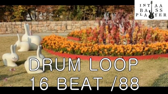 DRUM LOOP 16 BEAT /88 (METRONOM) смотреть онлайн