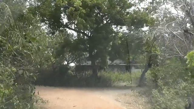 Катание в окресностях Тангалле смотреть онлайн