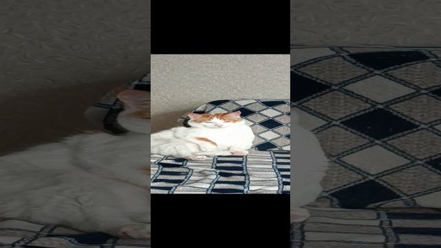 КузЯ смотреть онлайн