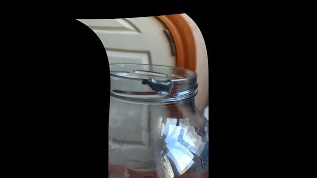 Сколы на стеклянной посуде смотреть онлайн