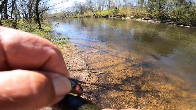 Trout on TenRyu Rayz Spectra using Forest MIU Abalone Spoon смотреть онлайн