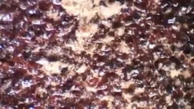 Наждачная бумага под микроскопом смотреть онлайн