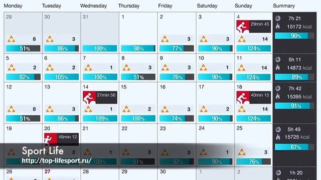 Polar Loop краткий обзор смотреть онлайн