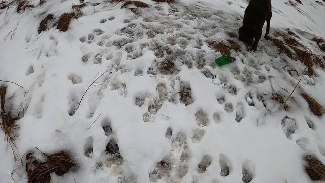 Рыбалка на карася по открытой воде в декабре смотреть онлайн