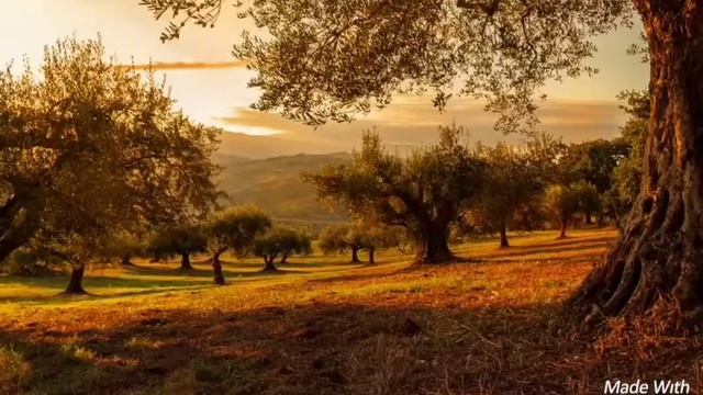 Християнська пісня /Творец чудес смотреть онлайн