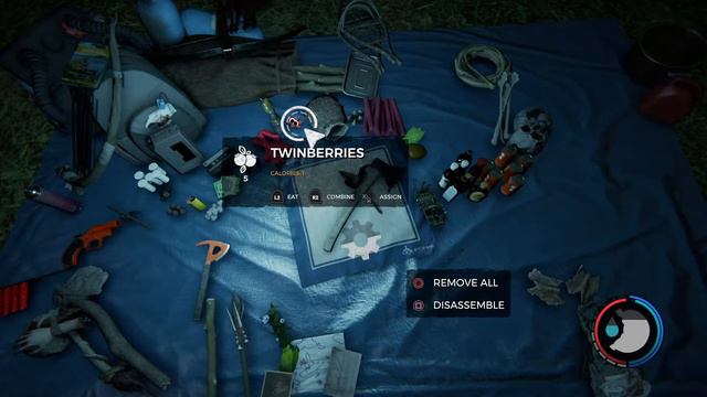 The Forest!?!?!? Getting Ready For Sons Of The Forest |HardCore Survival| Part 2