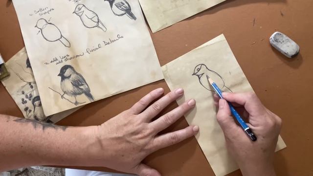 How to draw a quick bird sketch step by step смотреть онлайн