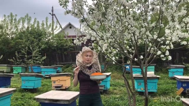 Что такое цветочная пыльца и как ее принимать. смотреть онлайн